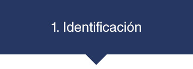 1) Identificación